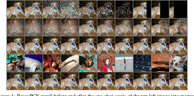 Figure 1 for BayesPCN: A Continually Learnable Predictive Coding Associative Memory