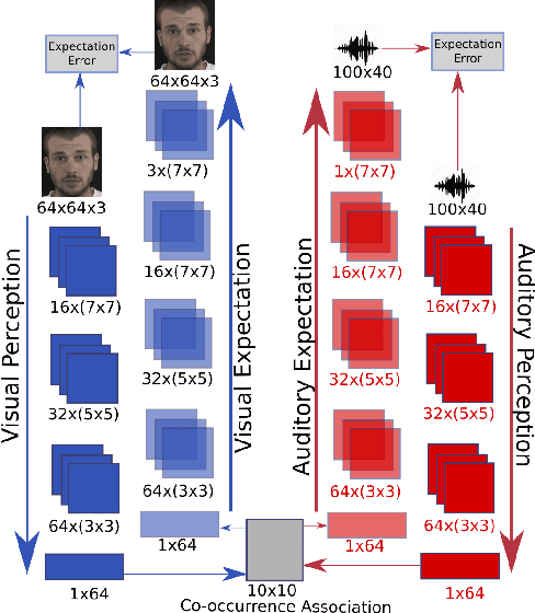 Figure 1 for Expectation Learning for Adaptive Crossmodal Stimuli Association