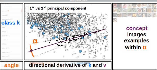 Figure 3 for Discovering Concepts in Learned Representations using Statistical Inference and Interactive Visualization