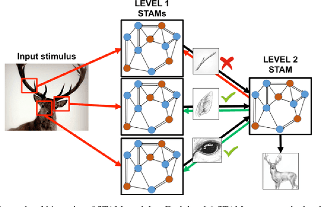 Figure 2 for A neuro-inspired architecture for unsupervised continual learning based on online clustering and hierarchical predictive coding
