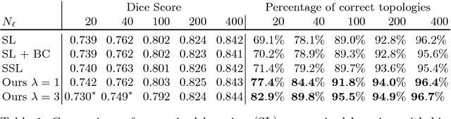 Figure 2 for Explicit topological priors for deep-learning based image segmentation using persistent homology