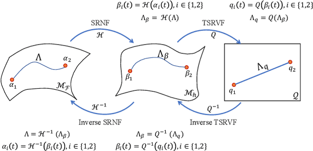 Figure 3 for 4D Atlas: Statistical Analysis of the Spatiotemporal Variability in Longitudinal 3D Shape Data