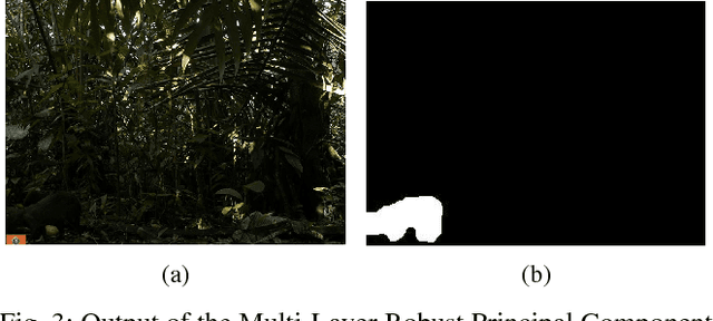 Figure 3 for Automatic Recognition of Mammal Genera on Camera-Trap Images using Multi-Layer Robust Principal Component Analysis and Mixture Neural Networks
