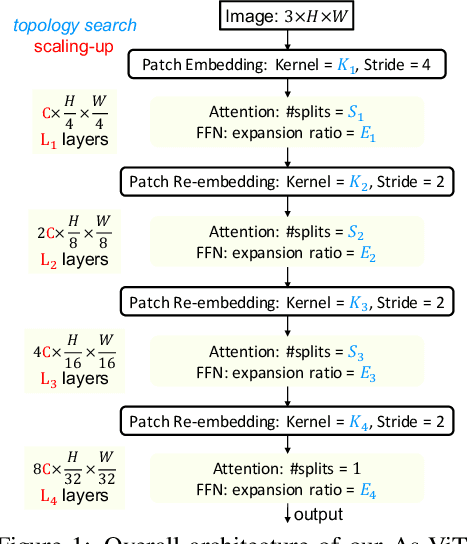 Figure 1 for Auto-scaling Vision Transformers without Training