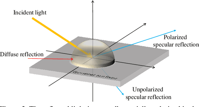Figure 3 for Polarization Guided Specular Reflection Separation