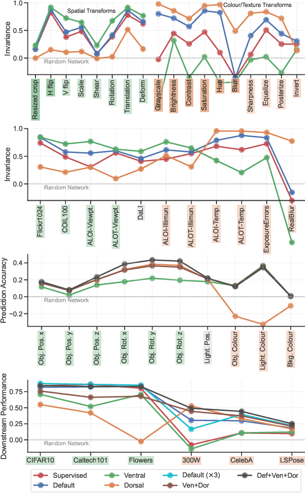 Figure 1 for Why Do Self-Supervised Models Transfer? Investigating the Impact of Invariance on Downstream Tasks