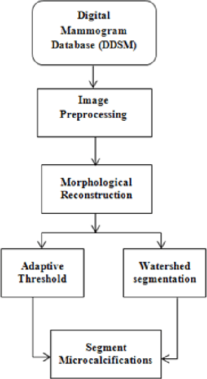 Figure 1 for Comparing Methods for segmentation of Microcalcification Clusters in Digitized Mammograms