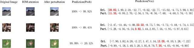 Figure 3 for Understanding CNNs from excitations