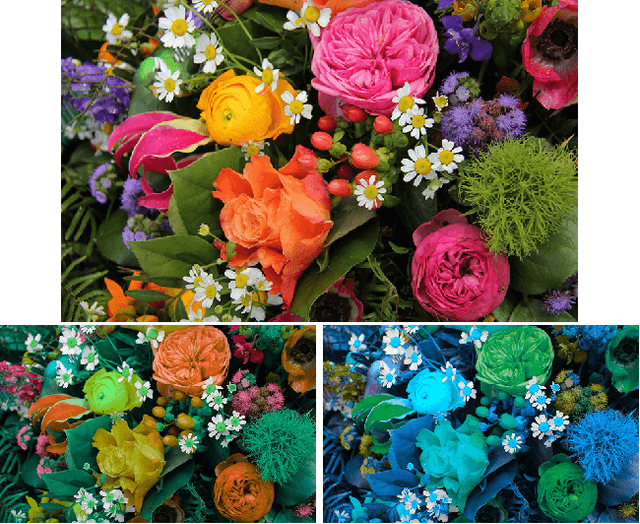 Figure 4 for AdapterNet - learning input transformation for domain adaptation