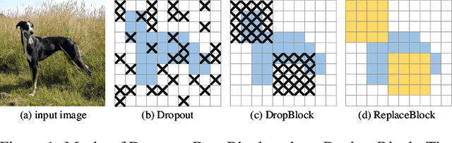 Figure 1 for ReplaceBlock: An improved regularization method based on background information