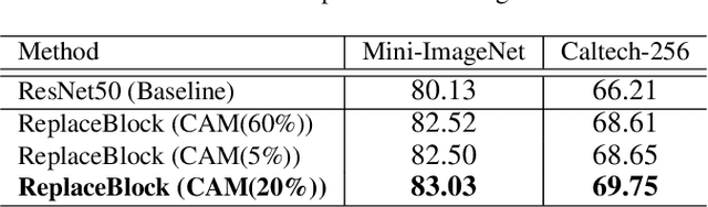 Figure 2 for ReplaceBlock: An improved regularization method based on background information