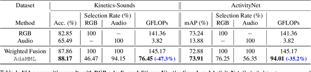Figure 2 for AdaMML: Adaptive Multi-Modal Learning for Efficient Video Recognition