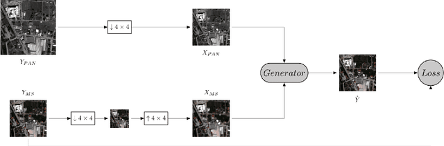 Figure 1 for Rethinking CNN-Based Pansharpening: Guided Colorization of Panchromatic Images via GANs