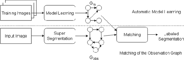 Figure 1 for A Structural Graph-Based Method for MRI Analysis