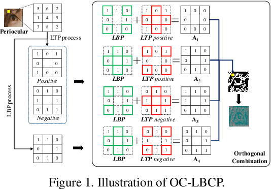Figure 1 for Periocular Recognition in the Wild with Orthogonal Combination of Local Binary Coded Pattern in Dual-stream Convolutional Neural Network