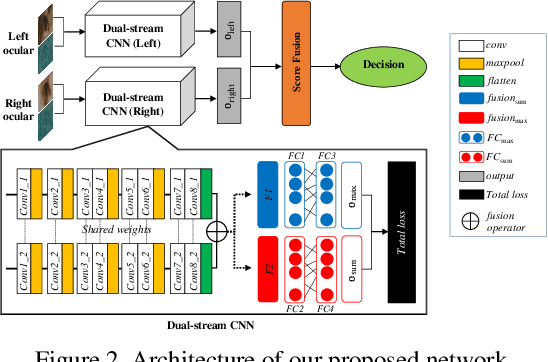 Figure 3 for Periocular Recognition in the Wild with Orthogonal Combination of Local Binary Coded Pattern in Dual-stream Convolutional Neural Network