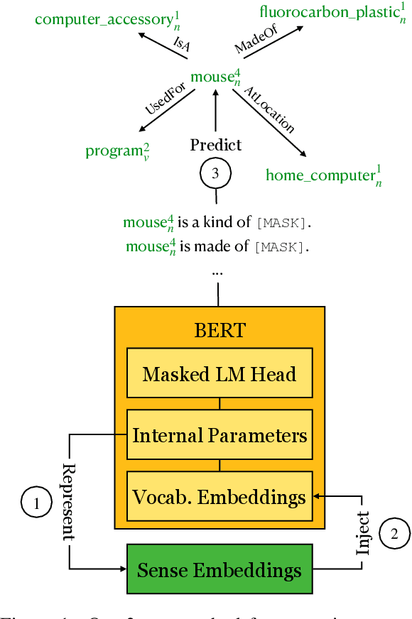Figure 1 for Probing Commonsense Knowledge in Pre-trained Language Models with Sense-level Precision and Expanded Vocabulary