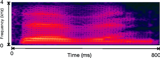 Figure 1 for A Spiking Network that Learns to Extract Spike Signatures from Speech Signals