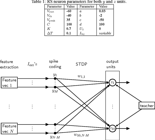 Figure 2 for A Spiking Network that Learns to Extract Spike Signatures from Speech Signals