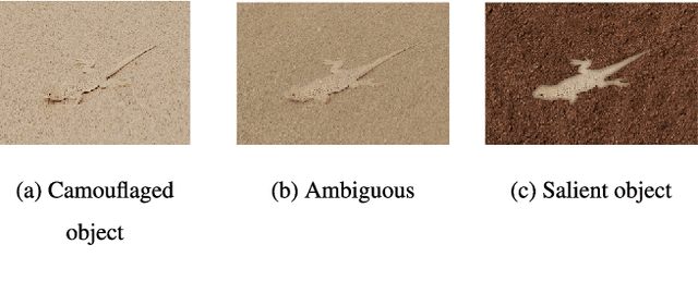 Figure 3 for Anabranch Network for Camouflaged Object Segmentation