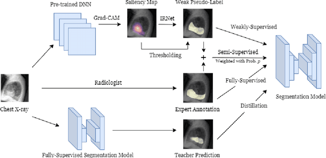 Figure 1 for CheXseg: Combining Expert Annotations with DNN-generated Saliency Maps for X-ray Segmentation