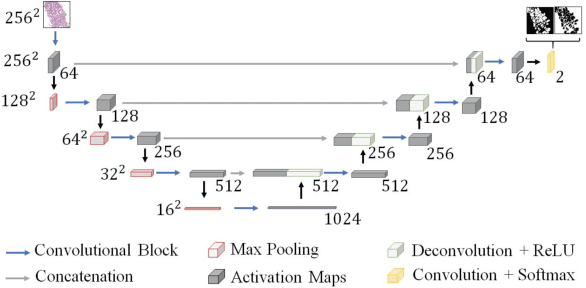 Figure 3 for Prostate Gland Segmentation in Histology Images via Residual and Multi-Resolution U-Net