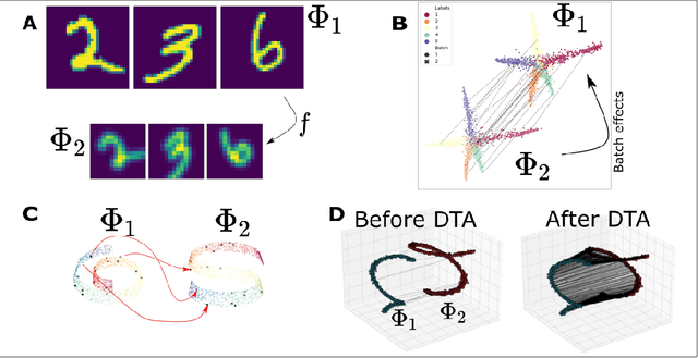 Figure 1 for Diffusion Transport Alignment