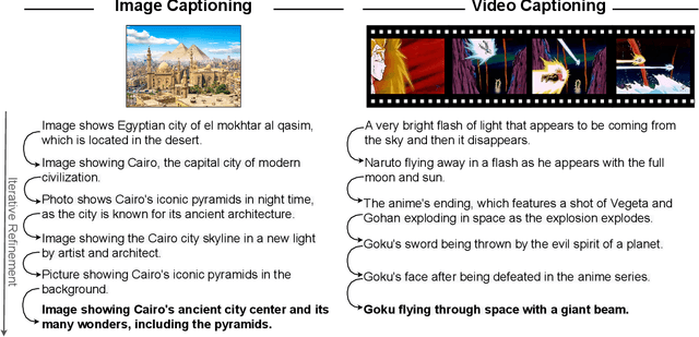 Figure 1 for Zero-Shot Video Captioning with Evolving Pseudo-Tokens