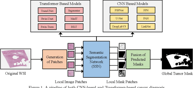 Figure 2 for Evaluating Transformer based Semantic Segmentation Networks for Pathological Image Segmentation