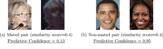 Figure 1 for Inducing Predictive Uncertainty Estimation for Face Recognition