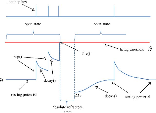 Figure 1 for A Model for Foraging Ants, Controlled by Spiking Neural Networks and Double Pheromones