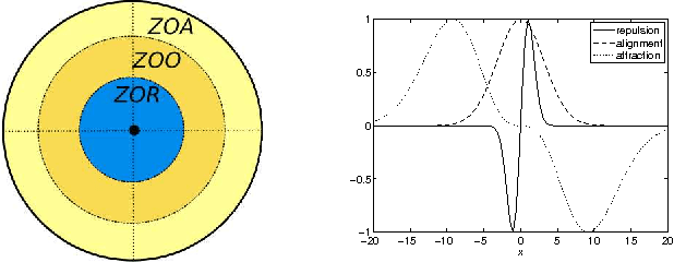 Figure 1 for Information Transfer in Swarms with Leaders