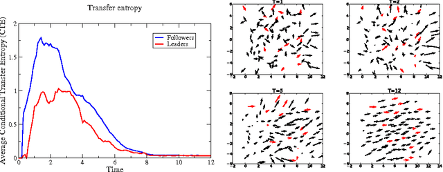 Figure 2 for Information Transfer in Swarms with Leaders