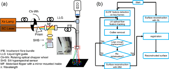 Figure 1 for Endoscopic Depth Measurement and Super-Spectral-Resolution Imaging