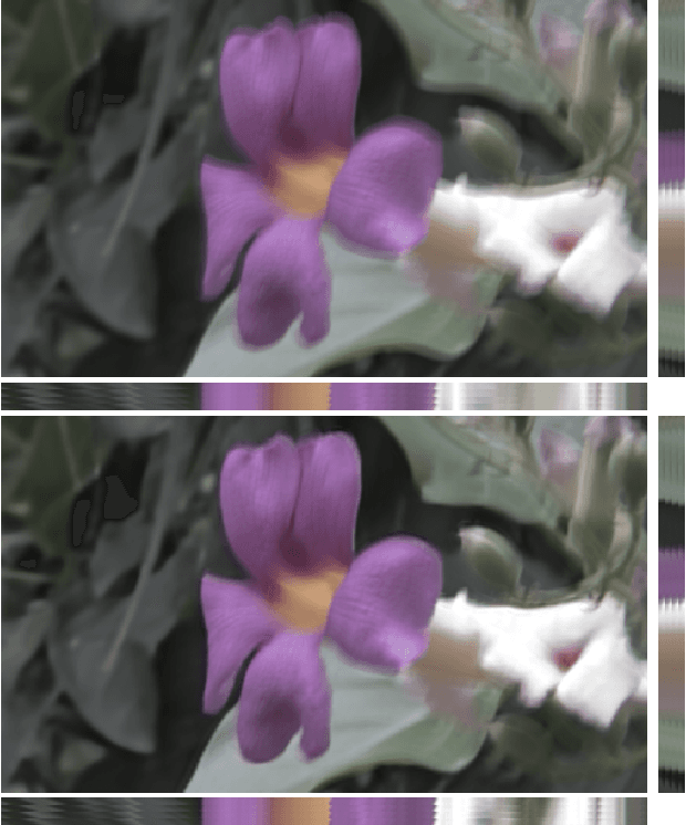 Figure 1 for Fast and Full-Resolution Light Field Deblurring using a Deep Neural Network