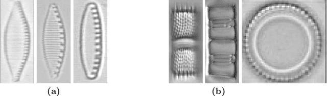 Figure 1 for Tackling Inter-Class Similarity and Intra-Class Variance for Microscopic Image-based Classification