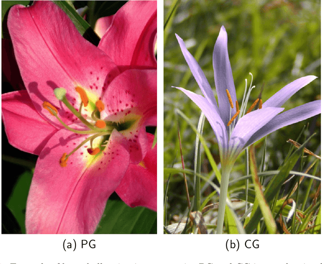 Figure 1 for Exposing Computer Generated Images by Using Deep Convolutional Neural Networks