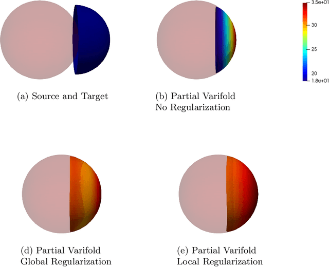 Figure 3 for How to Register a Live onto a Liver ? Partial Matching in the Space of Varifolds