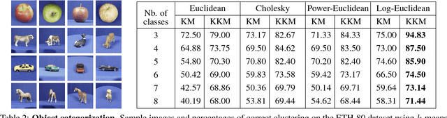 Figure 3 for Kernel Methods on the Riemannian Manifold of Symmetric Positive Definite Matrices