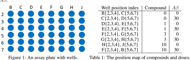 Figure 1 for Deep Learning for Estimating Synaptic Health of Primary Neuronal Cell Culture