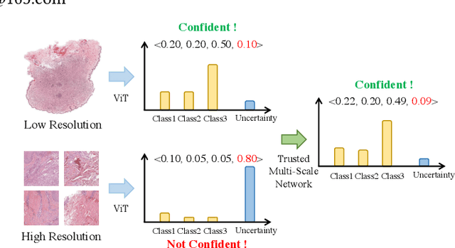 Figure 1 for Trusted Multi-Scale Classification Framework for Whole Slide Image