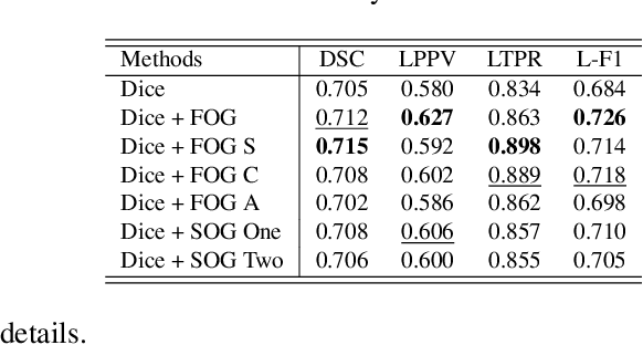 Figure 2 for Geometric Loss for Deep Multiple Sclerosis lesion Segmentation