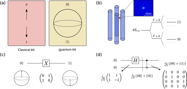 Figure 1 for The prospects of quantum computing in computational molecular biology