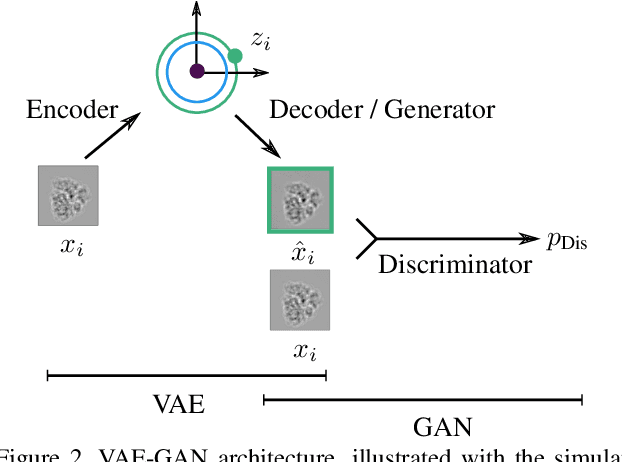 Figure 3 for Estimation of Orientation and Camera Parameters from Cryo-Electron Microscopy Images with Variational Autoencoders and Generative Adversarial Networks