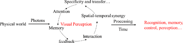 Figure 1 for Visual Sensation and Perception Computational Models for Deep Learning: State of the art, Challenges and Prospects