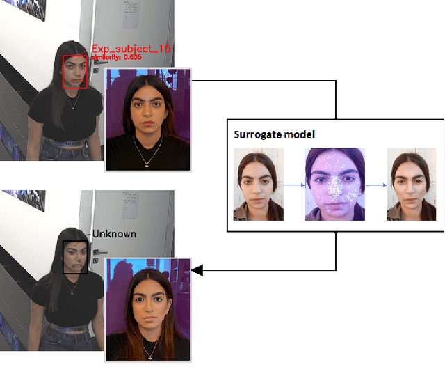 Figure 1 for Dodging Attack Using Carefully Crafted Natural Makeup