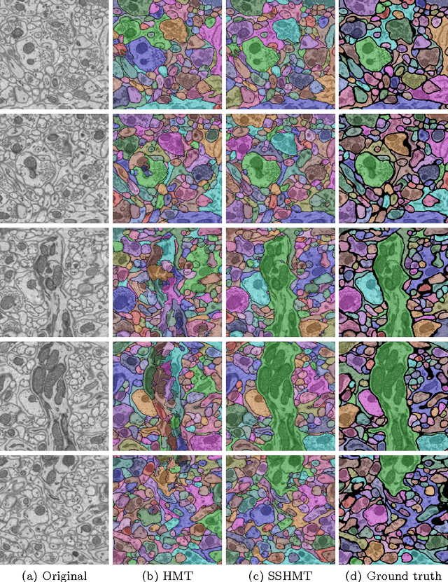 Figure 3 for SSHMT: Semi-supervised Hierarchical Merge Tree for Electron Microscopy Image Segmentation