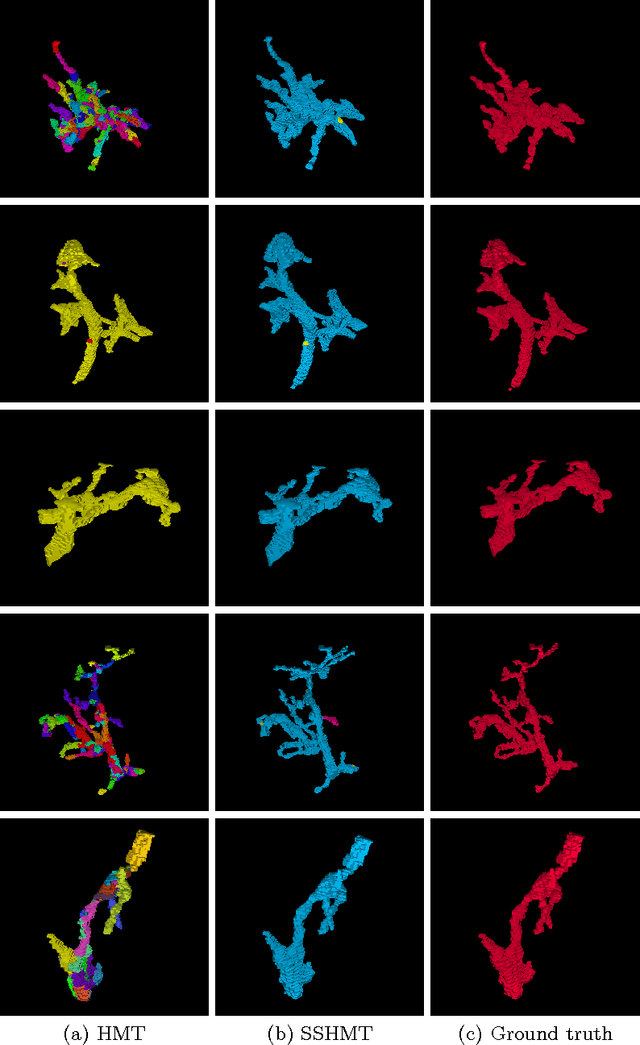 Figure 4 for SSHMT: Semi-supervised Hierarchical Merge Tree for Electron Microscopy Image Segmentation