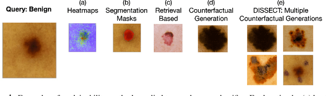 Figure 1 for DISSECT: Disentangled Simultaneous Explanations via Concept Traversals