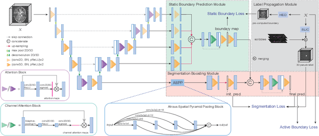 Figure 1 for Scribble2D5: Weakly-Supervised Volumetric Image Segmentation via Scribble Annotations